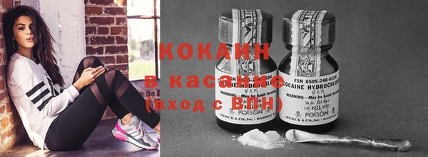 шишки Кадников