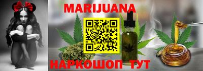 индика Гатчина