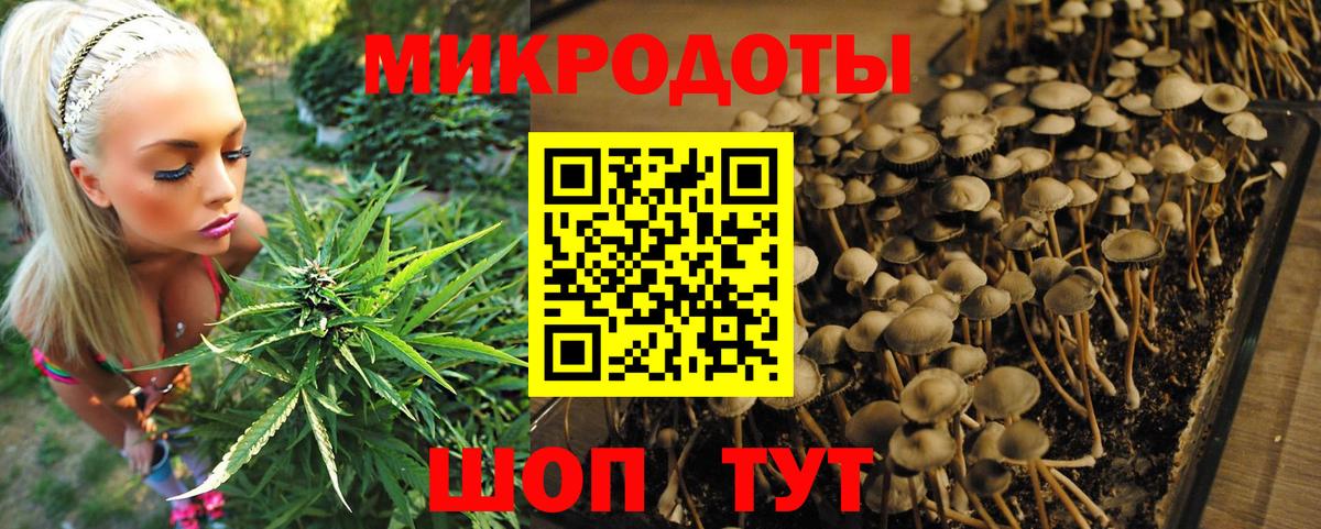 Галлюциногенные грибы прущие грибы  хочу наркоту  Воскресенск  Галлюциногенные грибы MAGIC MUSHROOMS  Вход с VPN 