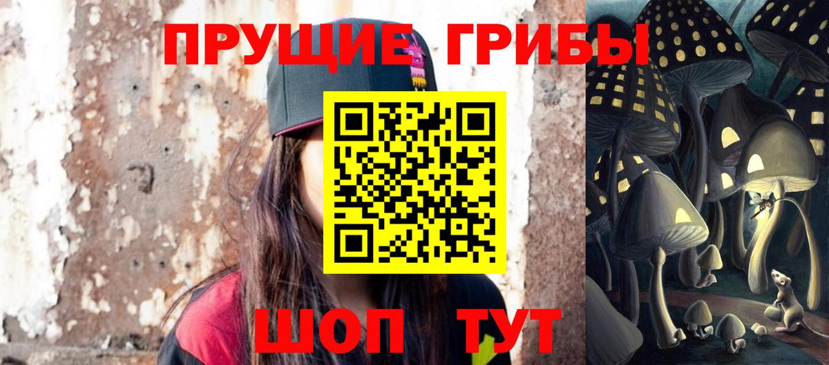 Галлюциногенные грибы Psilocybe Воскресенск